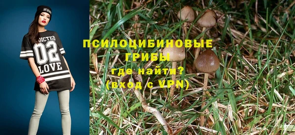 бошки Алзамай